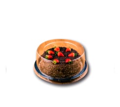 HL-60 APR Bas PtaConf Lisa Alta 50u