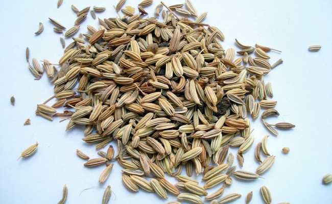 Erva Doce Ciers pct 1kg