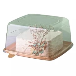 [5302] G-50Q Torta M C/ Tampa Alta Cj 25u